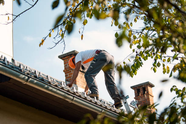 Best Storm Damage Roof Repair  in Middleburg, FL