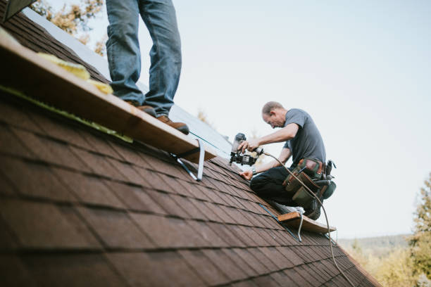 Professional Roofing Contractor in Middleburg, FL